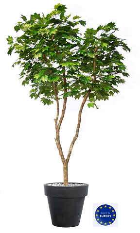 Arce, planta artificial