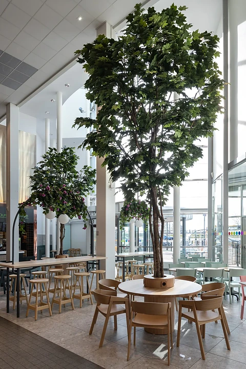 Arce, planta artificial
