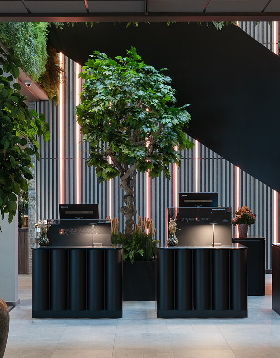 Arce, planta artificial
