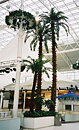 IKEA Mega Mall Moskva