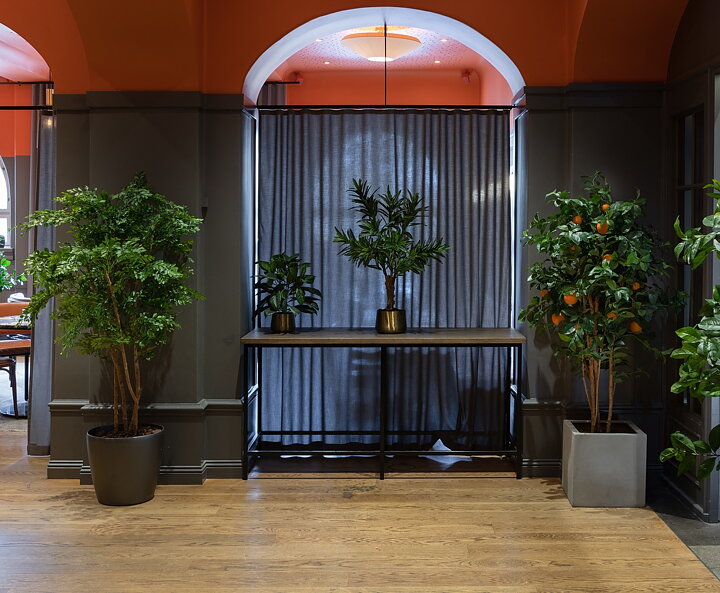 Acacia, planta artificial