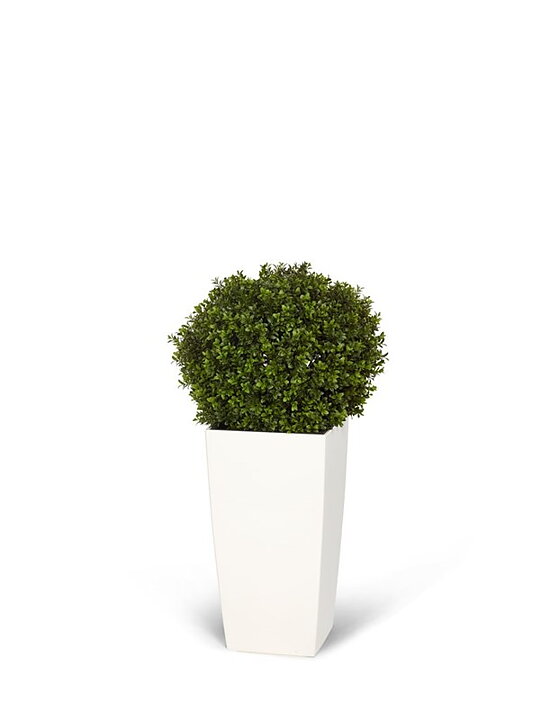 Boj, planta artificial