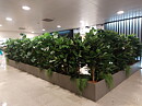 Aeropuerto Barcelona