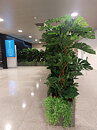 Aeropuerto Barcelona