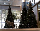 Arlanda Flygplats, Stockholm