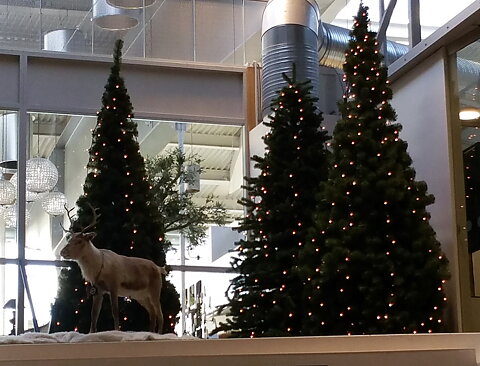 Arlanda Aeropuerto, Estocolmo