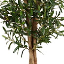 Olivo, planta artificial