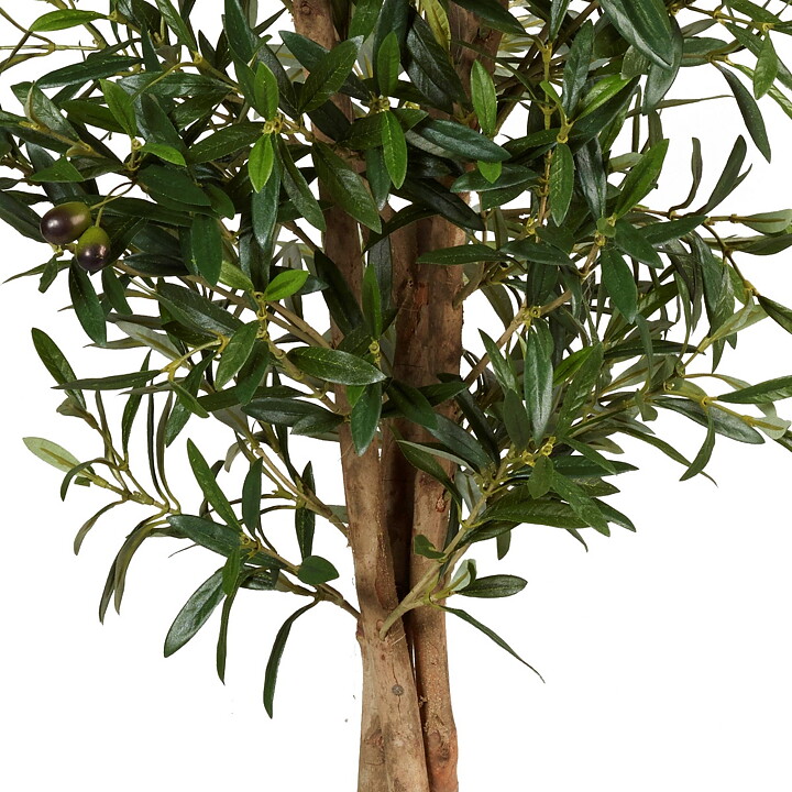 Olivo, planta artificial