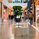 Ficus Lyrata, planta artificial