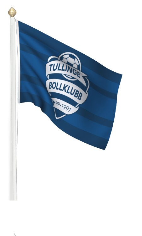 Reklamflagga / Företagsflagga / Flaggstångsflagga med digitaltryck liggande modell 240x150cm, pris från