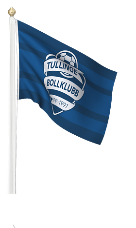 Reklamflagga / Företagsflagga / Flaggstångsflagga med digitaltryck liggande modell 240x150cm, pris från