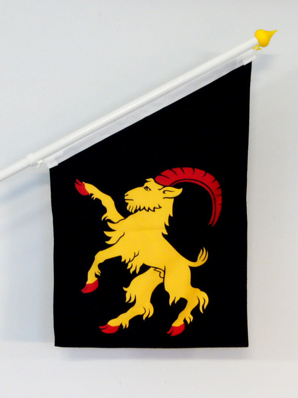 Landskapsflagga Hälsingland