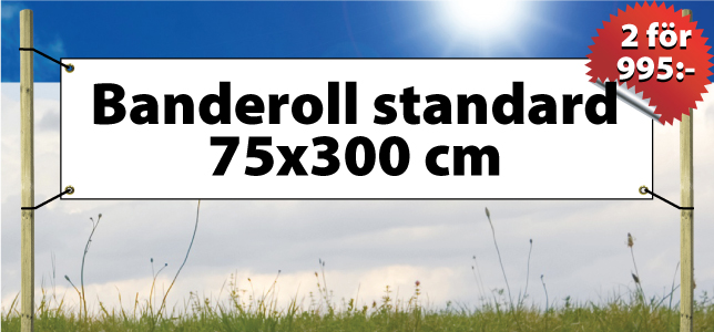 Banderoll Standard 2st 75x300cm