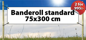 Banderoll Standard 2st 75x300cm