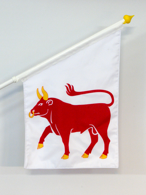 Dalsland landskapsflagga