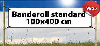 Banderoll Standard 100x400cm