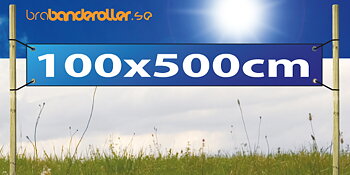 Banderoll Standard 100x500cm