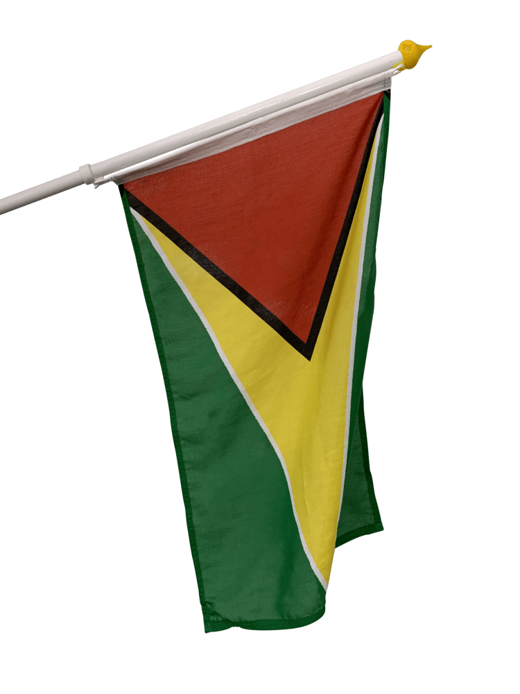 Guyanas Fasadflagga