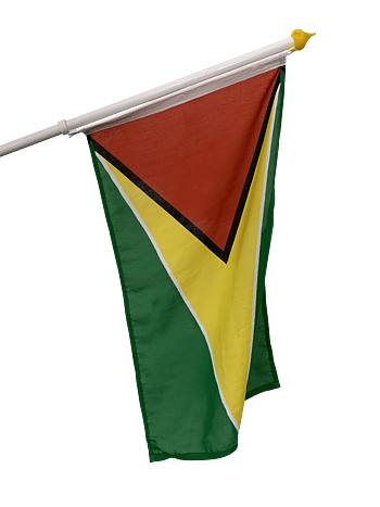 Guyanas Fasadflagga