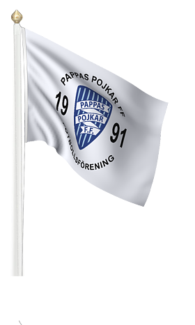 Reklamflagga / Företagsflagga / Flaggstångsflagga med digitaltryck liggande modell 200x120cm, pris från