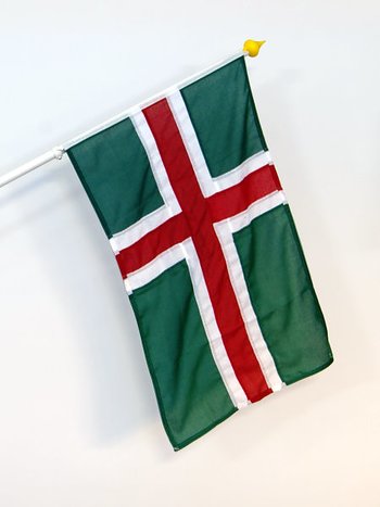 Regionsflagga Småland 
