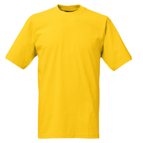 KINGS T-Shirt finns i hela 30 färger - 10