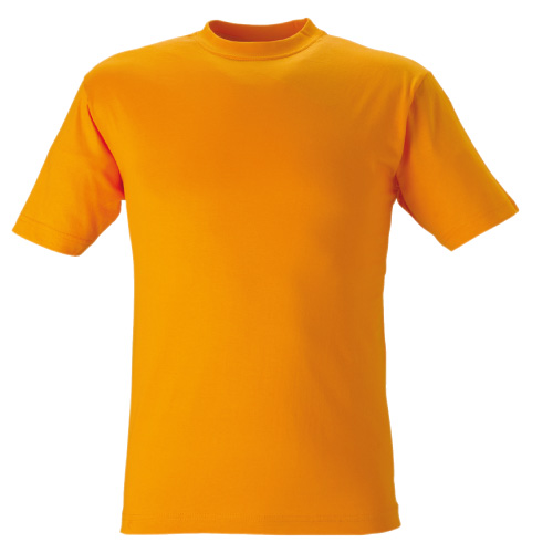 KINGS T-Shirt finns i hela 30 färger - 12
