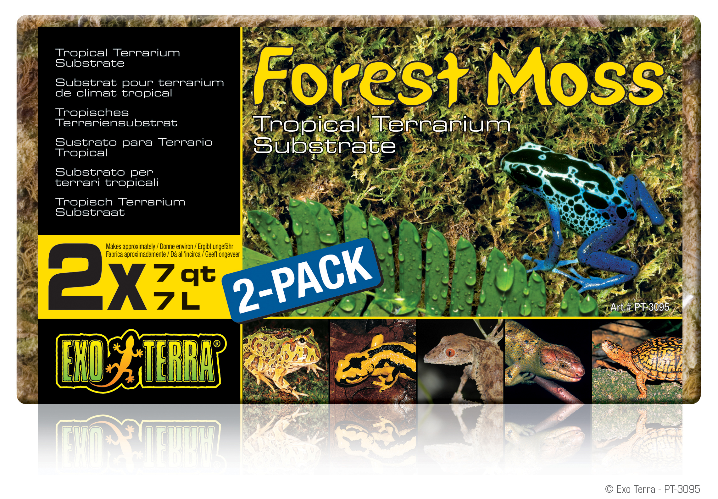 Forest moss 