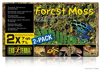 Forest moss 