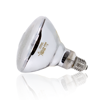 Solar Raptor MV UV 100w