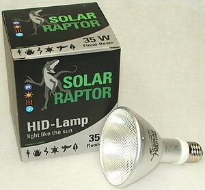 Solar Raptor HID 35 W flood