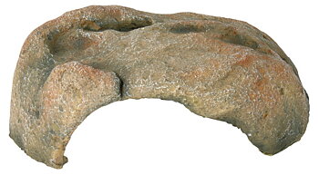 Reptilgrotta 32*12*29