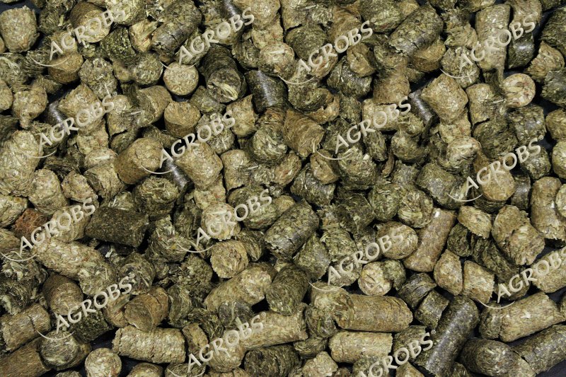 Testudo herbs 0,5 kg - 2