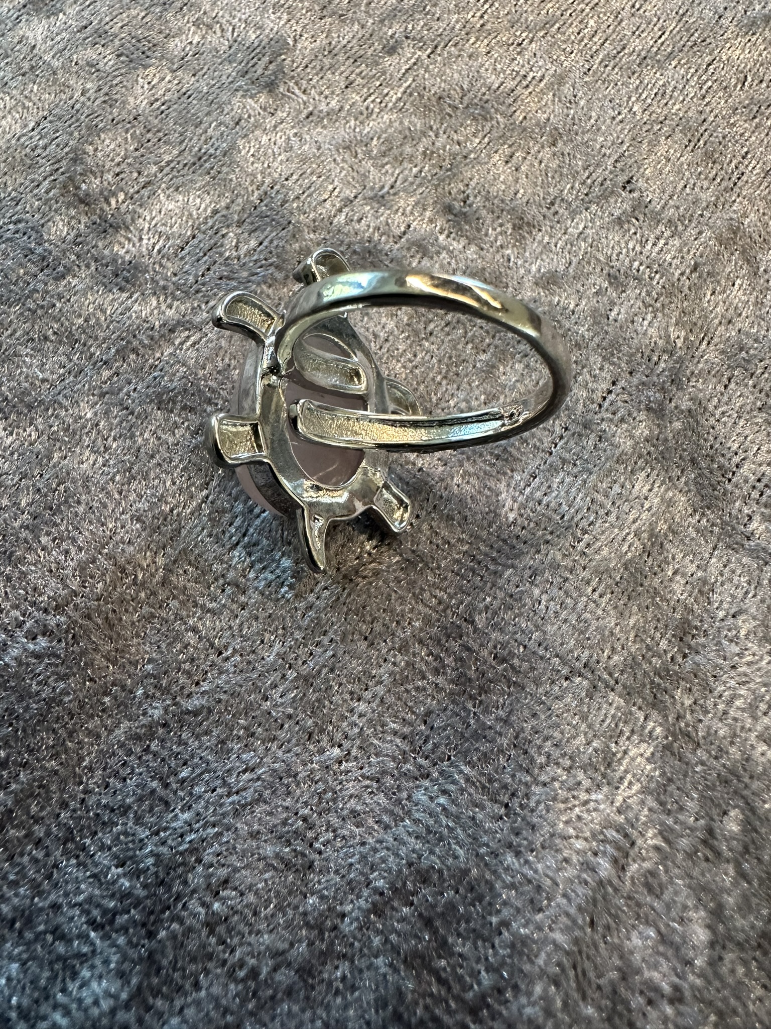 Ring vit/gråspräcklig - 2