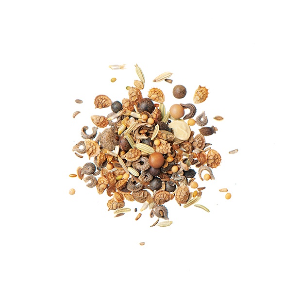 Agrobs fröblandning 100g - 3