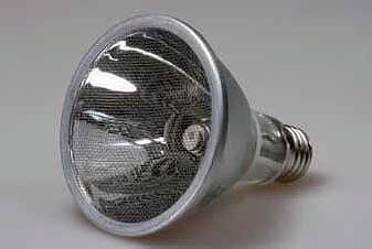 Solar Raptor heating lamp 60 W
