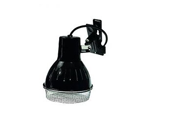 Solar Raptor Clamp Lamp PAR20/30