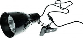 Solar Raptor Clamp Lamp PAR38