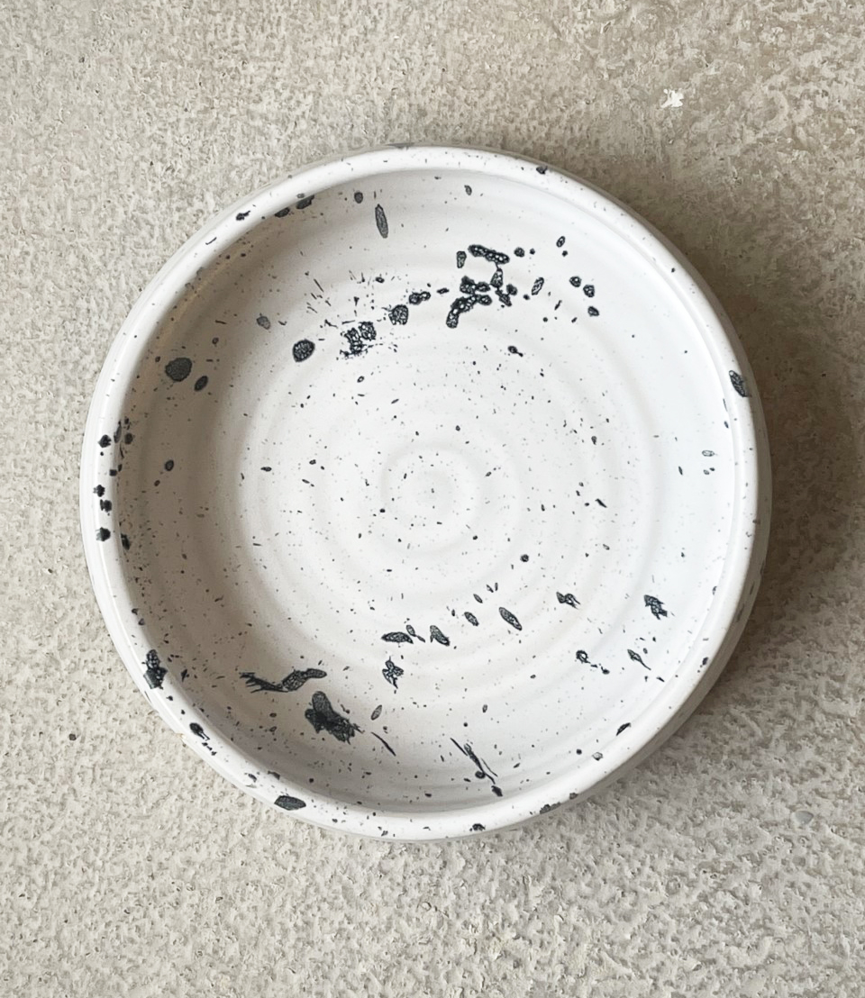 WAVE pet bowl - spotted - 5