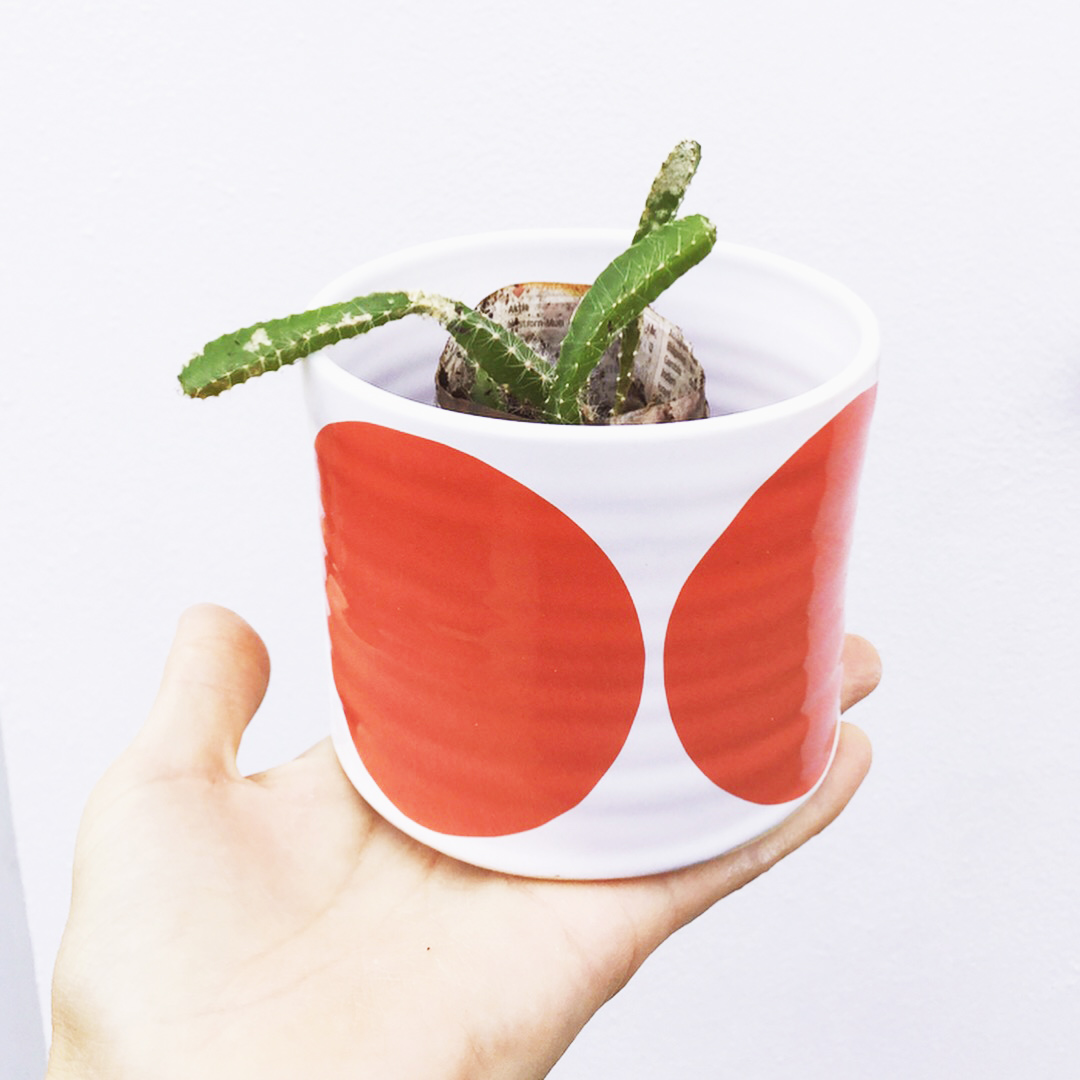 BOWL  red w rounds - 2