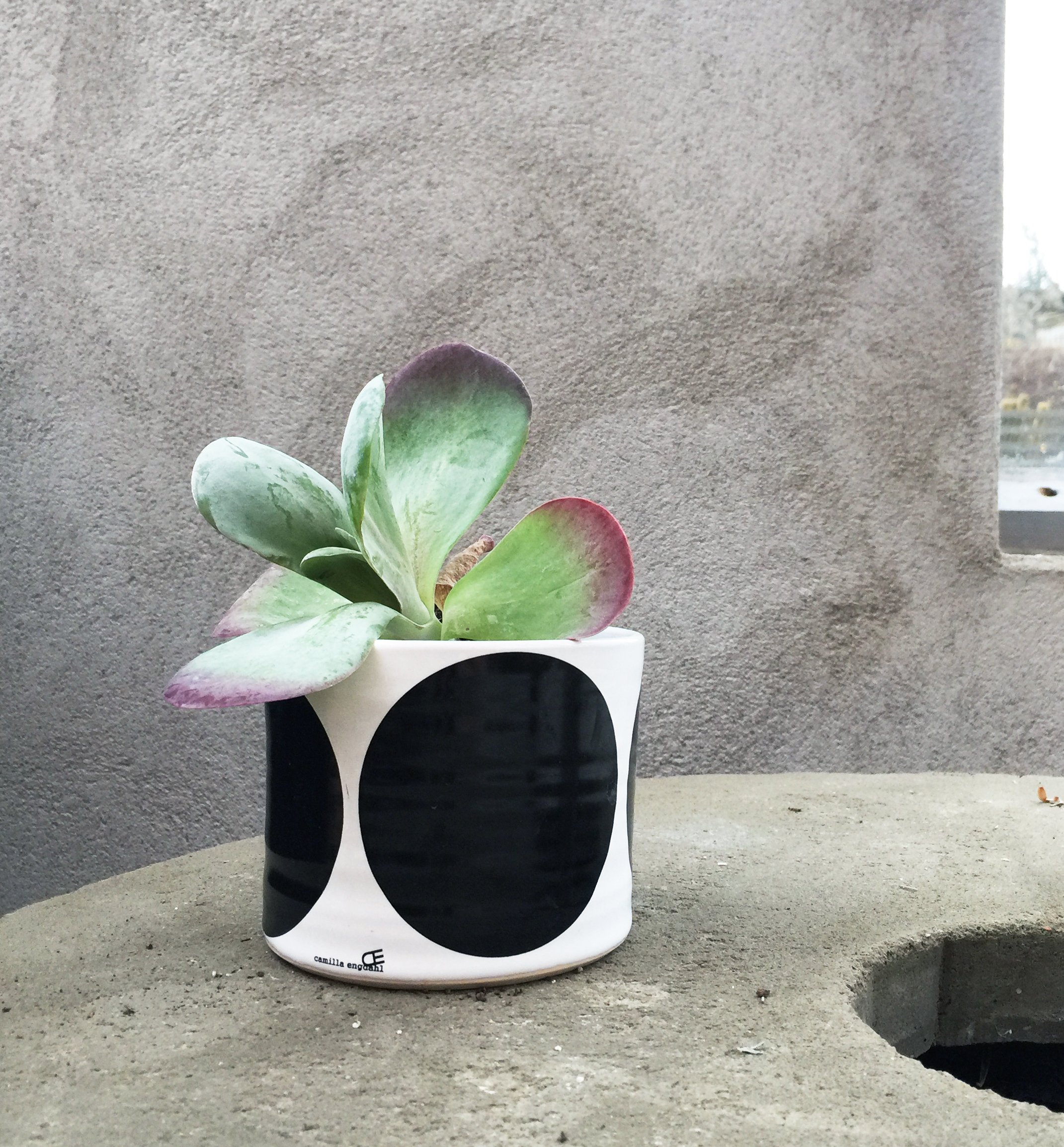 BOWL  black w rounds - 3