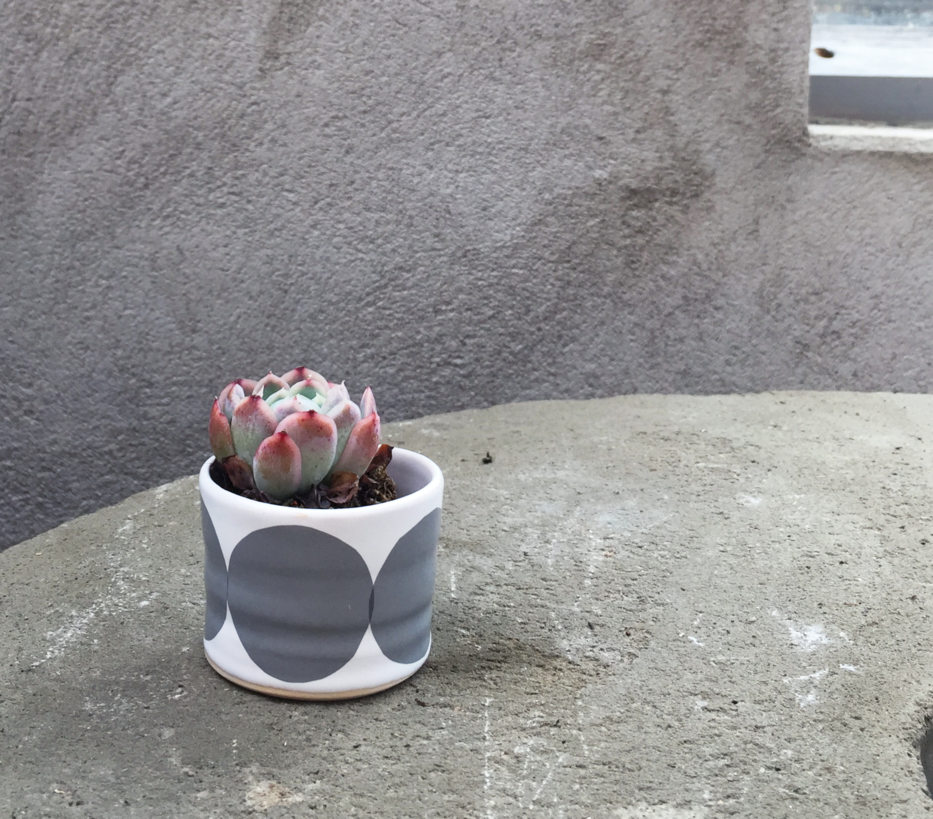 BOWL  gray w rounds - 5