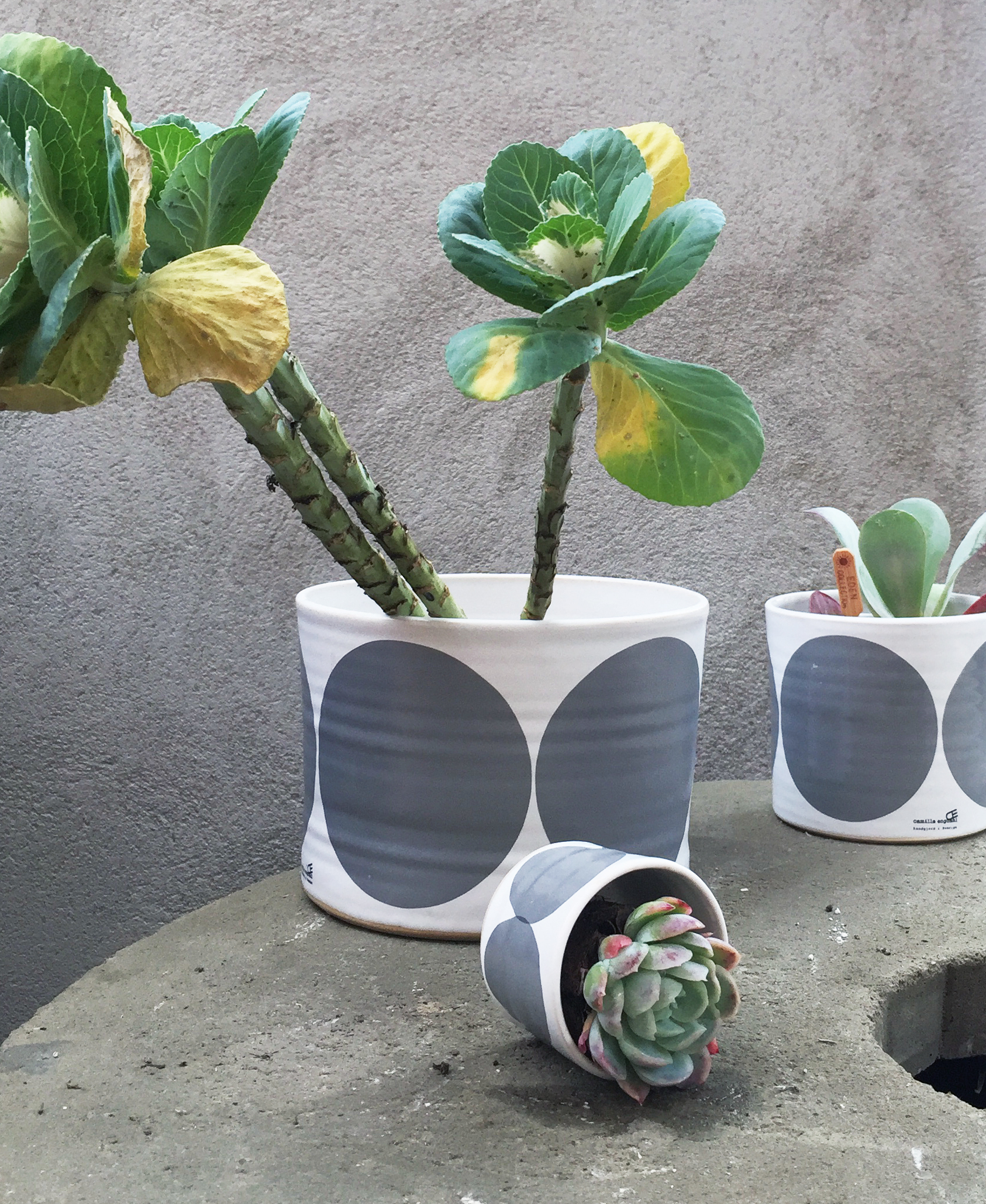 BOWL  gray w rounds - 3