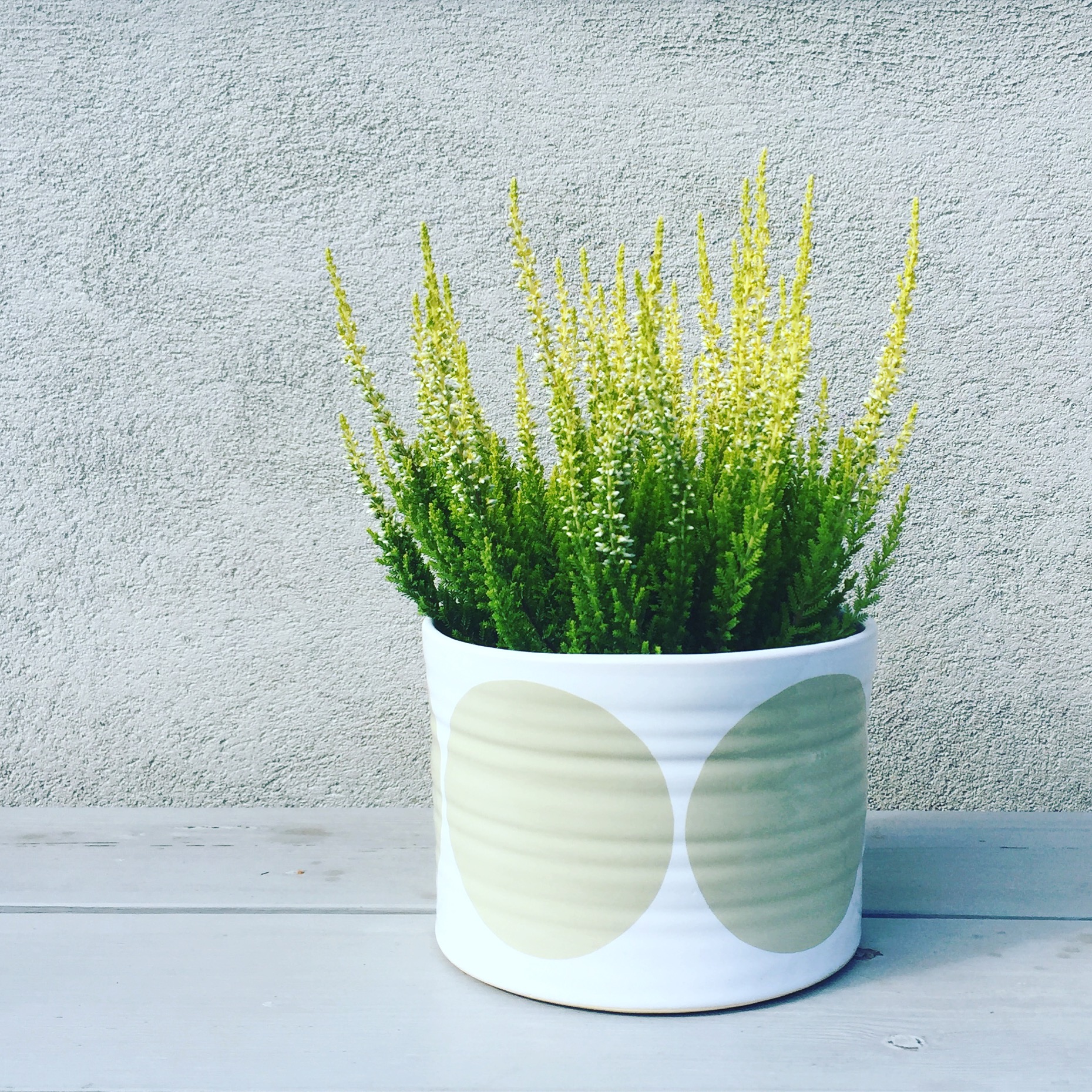 BOWL  sand w rounds - 5