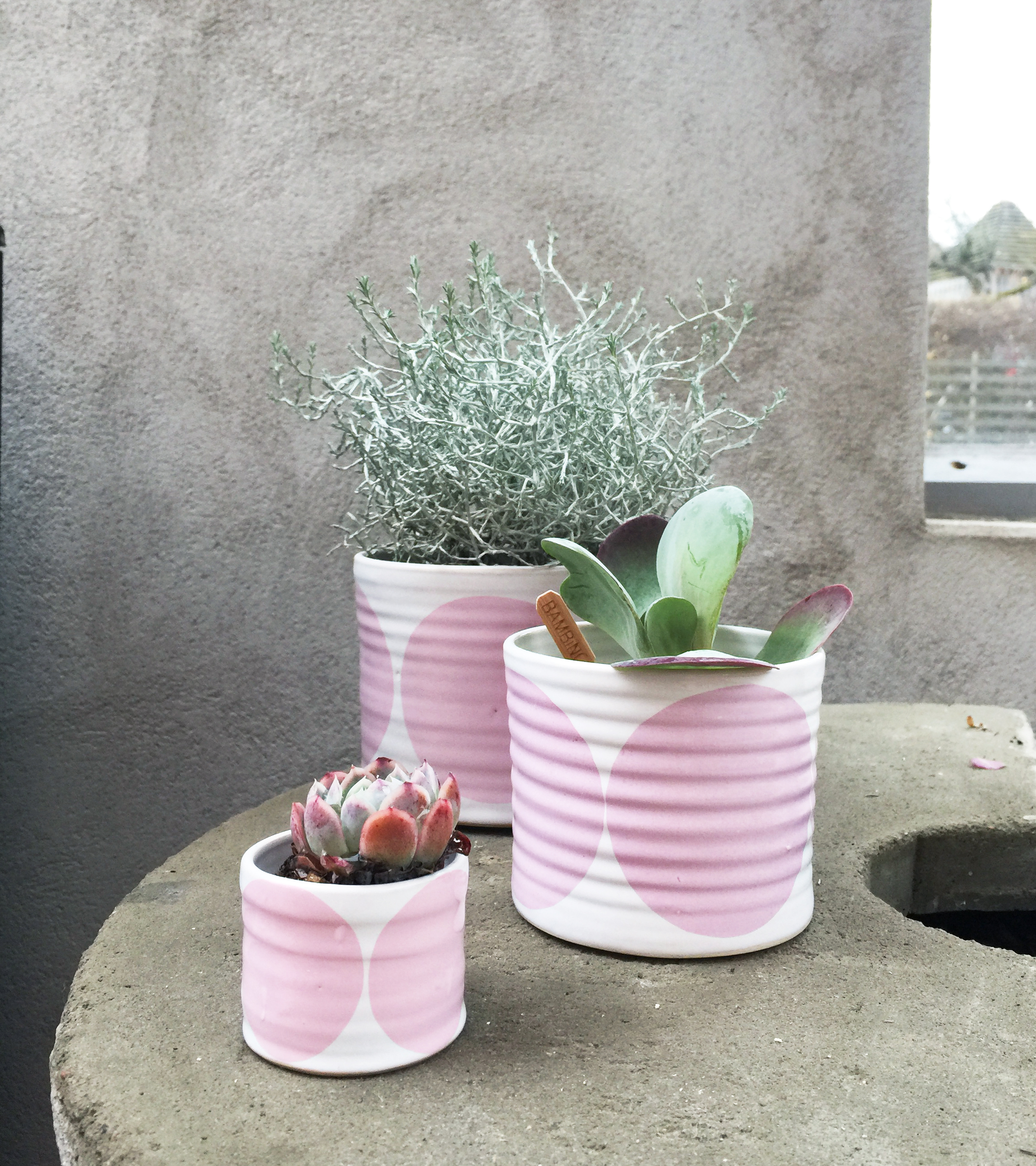 BOWL  pink w rounds - 3
