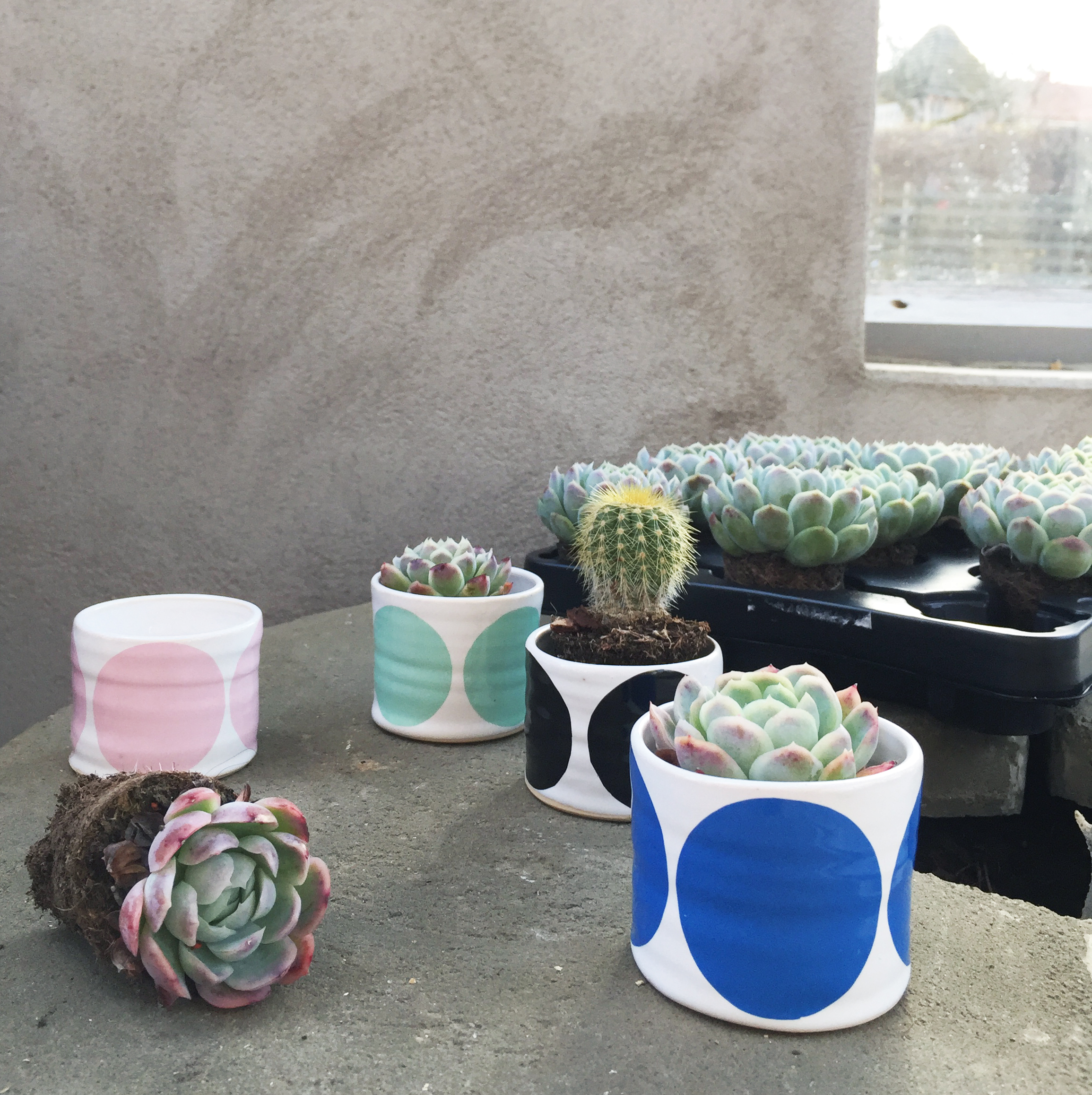 BOWL  blue w rounds