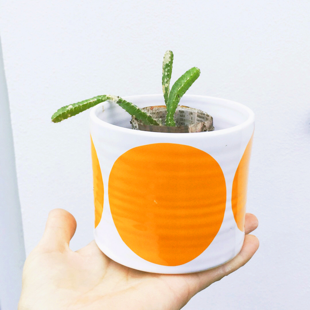 BOWL  orange w rounds - 3
