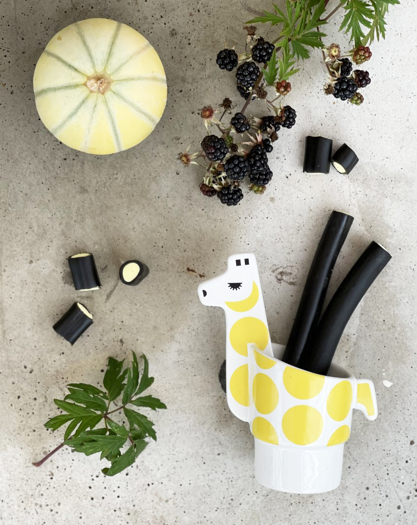 GIT the giraffe - 3