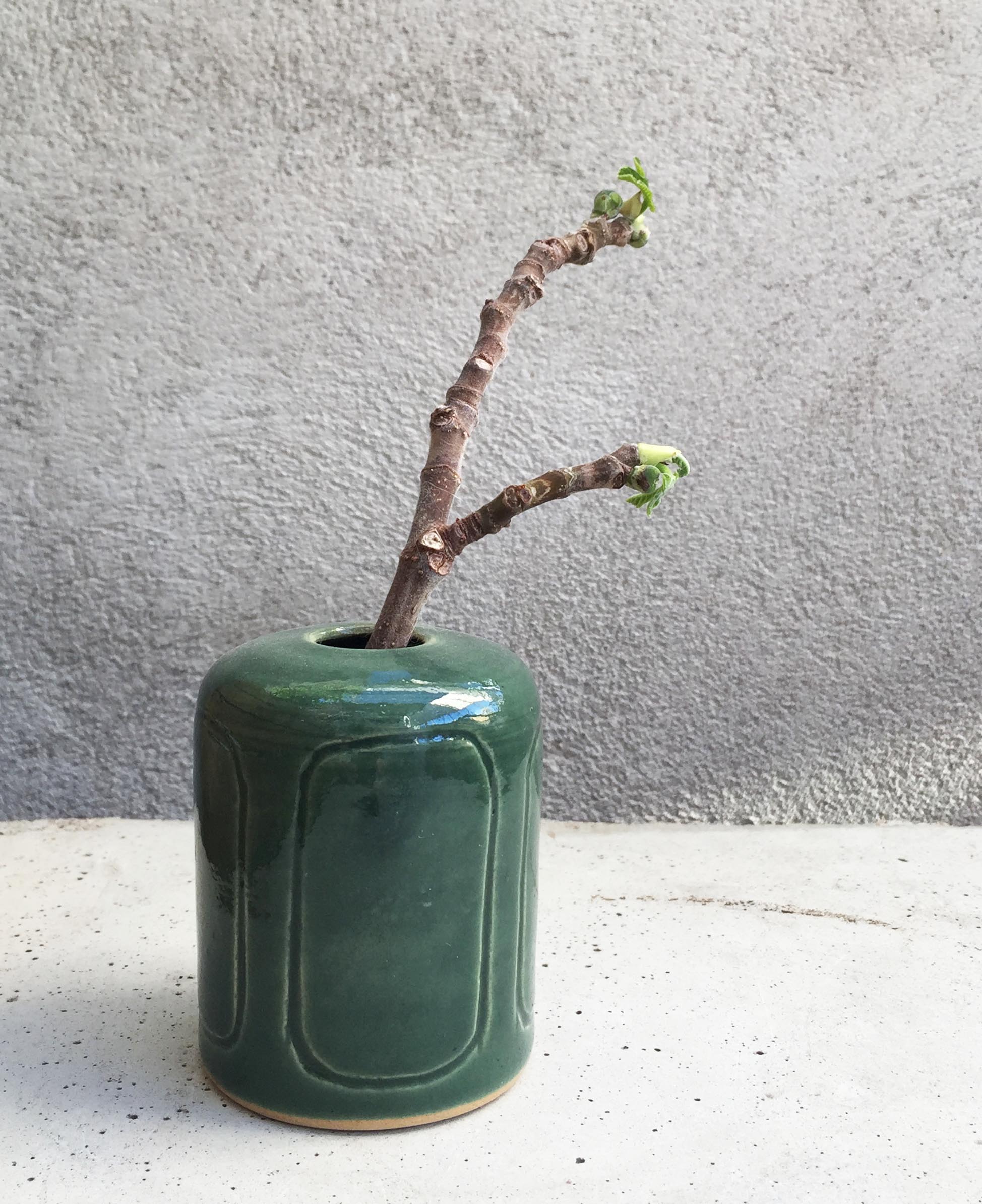 RITVA/ green