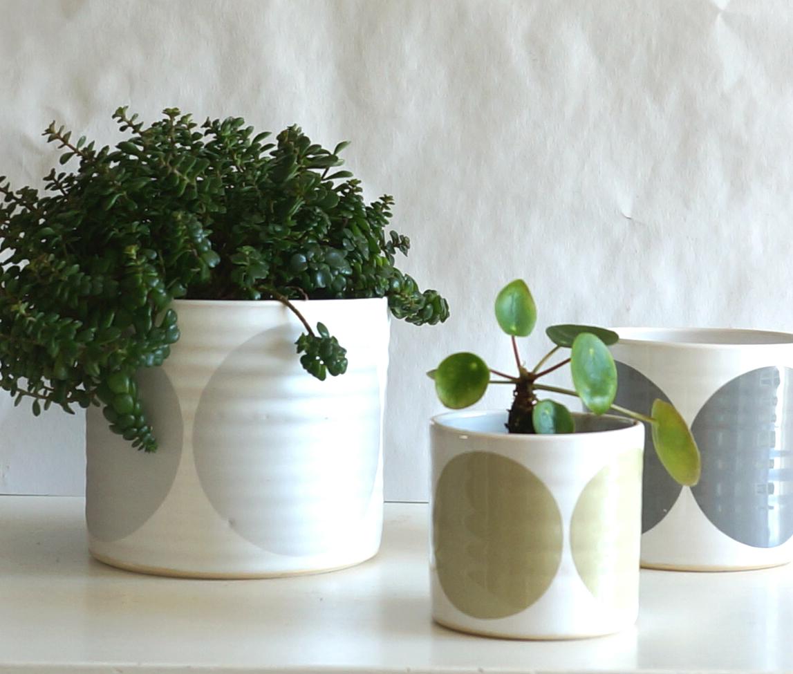 SPOT / 3 POTS 